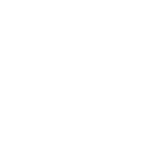 赛马增收-问疆·新疆手抓饭